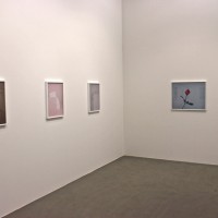 「TOLOT」内ギャラリー「G/P + g3/ gallery」で行われているイナ・ジャン個展