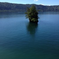 遊覧船から見た十和田湖の風景
