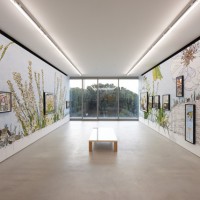 デイヴ・ムラー「Sublime Memory Garden」展示風景