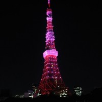 「グローバル ランドマーク イルミネーション」東京タワー