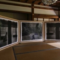 建仁寺・両足院での書院、茶室、庭を使用したロンロン＆インリの作品展示