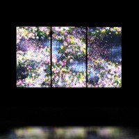 チームラボが「Seattle Art Fair」にて展示する映像作品／「Flowers and People - Dark / 花と人 - Dark」