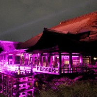 乳がん知識啓発キャンペーン「ピンクリボン」で、ライトアップされた清水寺本堂