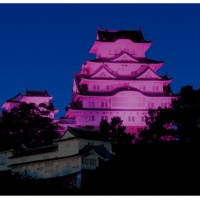 乳がん知識啓発キャンペーン「ピンクリボン」で、ライトアップされた姫路城（※写真はイメージ）