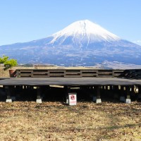 夏になれば富士山を背景に薪能も行われる