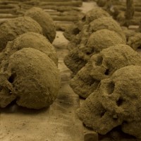 鳥取砂丘の砂で覆われた骸骨