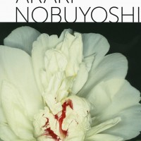 『Araki Nobuyoshi』