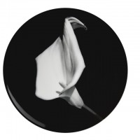 ロバート・メイプルソープの作品「Tulip」をモチーフにした高級感溢れるアートプレート（1万2,000円）