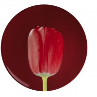 ロバート・メイプルソープの作品「Tulip」をモチーフにした高級感溢れるアートプレート（1万2,000円）