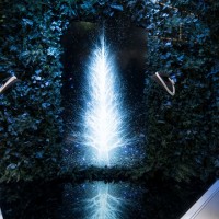 チームラボがミキモト銀座2丁目本店のショーウィンドウにてインタラクティブ作品「Sparkling Dream Tree by teamLab」を展示