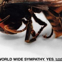 アートユニットのskydiving magazineによるポップアップショップ「YES,WORLD WIDE SYMPATHY, YES. by skydiving magazine」がオープン