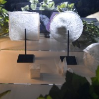 落合陽一研究室の作品、蚕の性質を3Dプリンターとしてとらえた「silk print」