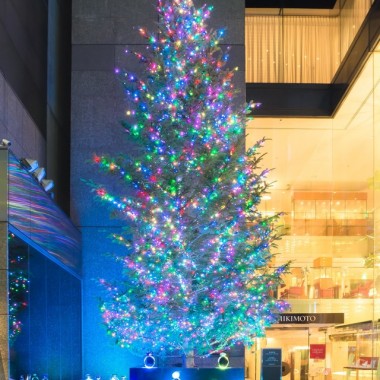 ミキモトのクリスマスツリー、今年が最後。のだめバイオリニストが点灯式