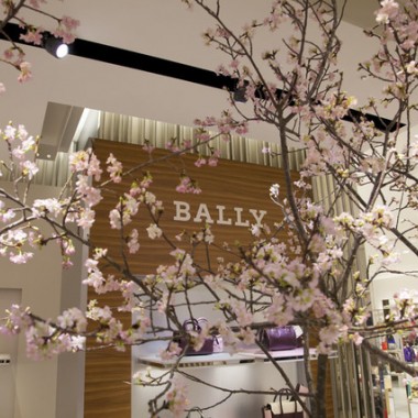 新宿伊勢丹で一足早く桜満開！バリーの限定イベントスタート