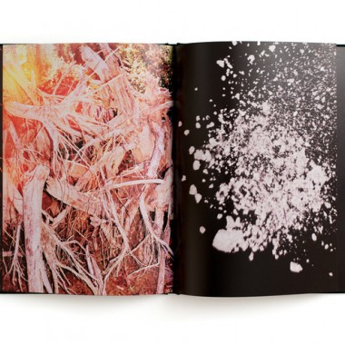限定300部、絶版した幻のコリー・ブラウンの写真集が復刻【ShelfオススメBOOK】