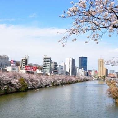 シャンドンロゼが桜に映える「お花見CHANDON」。中目黒・神楽坂に期間限定バー
