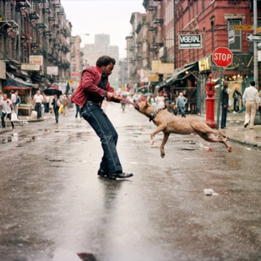 NYのストリートを中心に活躍する写真家15人を追った記録映画『フォトグラファーズ・イン・ニューヨーク』公開