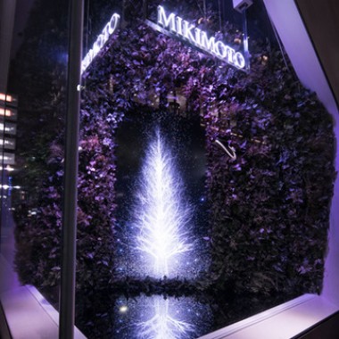 チームラボが描く“光の珠の散らばる木”。ミキモト銀座2丁目本店のショーウィンドウ