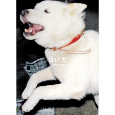 白い犬「リョウ」のたくさんの表情、梅佳代最新作『白い犬』【NADiffオススメBOOK】