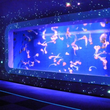 夜の新江ノ島水族館へ！満天の星降る水族館をテーマにした「ナイトワンダーアクアリウム 2017」開催