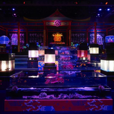 日本橋アートアクアリウム、今年は“龍宮城”！8,000匹の観賞魚と映像が織り成す幻想世界へ