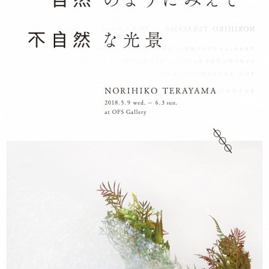 デザイナーで作家の寺山紀彦による展示「自然のようにみえて不自然な光景」、白金OFS galleryにて開催