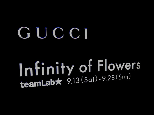 Infinity of Flowers