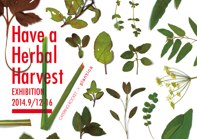 プランティカ×ロケット ケータリングの「ハブ ア ハーバル ハーベスト（Have a Herbal Harvest）」開催