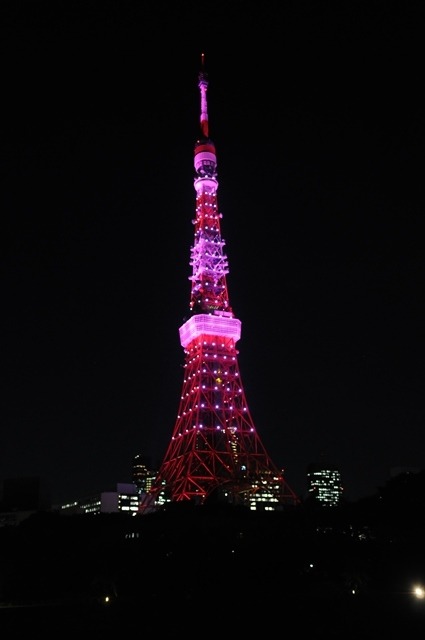 「グローバル ランドマーク イルミネーション」東京タワー