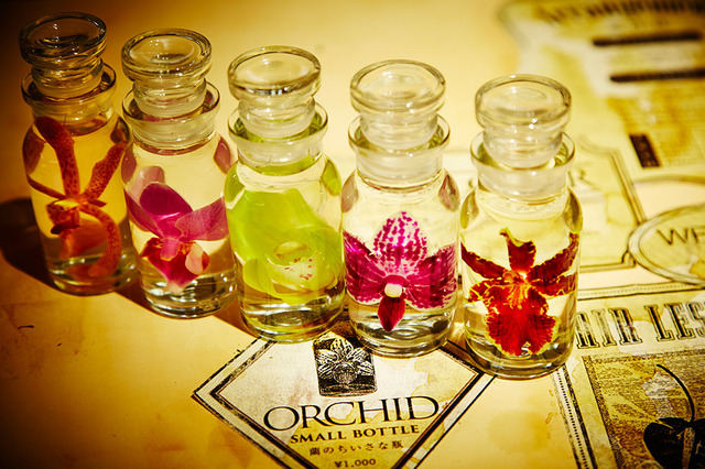 本店ジャルダン・デ・フルールで扱う「Bottle flower」をフラワー オブ ロマンス用にスモールサイズにアレンジしたもの