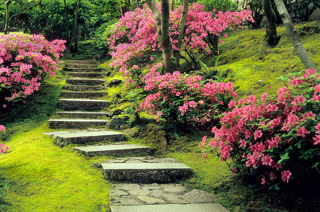 アメリカ・オレゴン州で味わう日本の美「ポートランド日本庭園」／Natural Garden, spring (photo cred David Cobb)