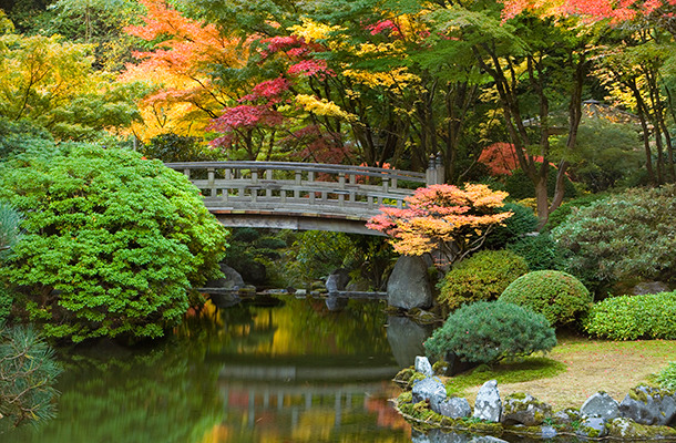 アメリカ・オレゴン州で味わう日本の美「ポートランド日本庭園」／Strolling Pond, Fall (photo cred David Cobb)