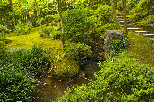アメリカ・オレゴン州で味わう日本の美「ポートランド日本庭園」／Natural Garden, summer (photo cred David Cobb)