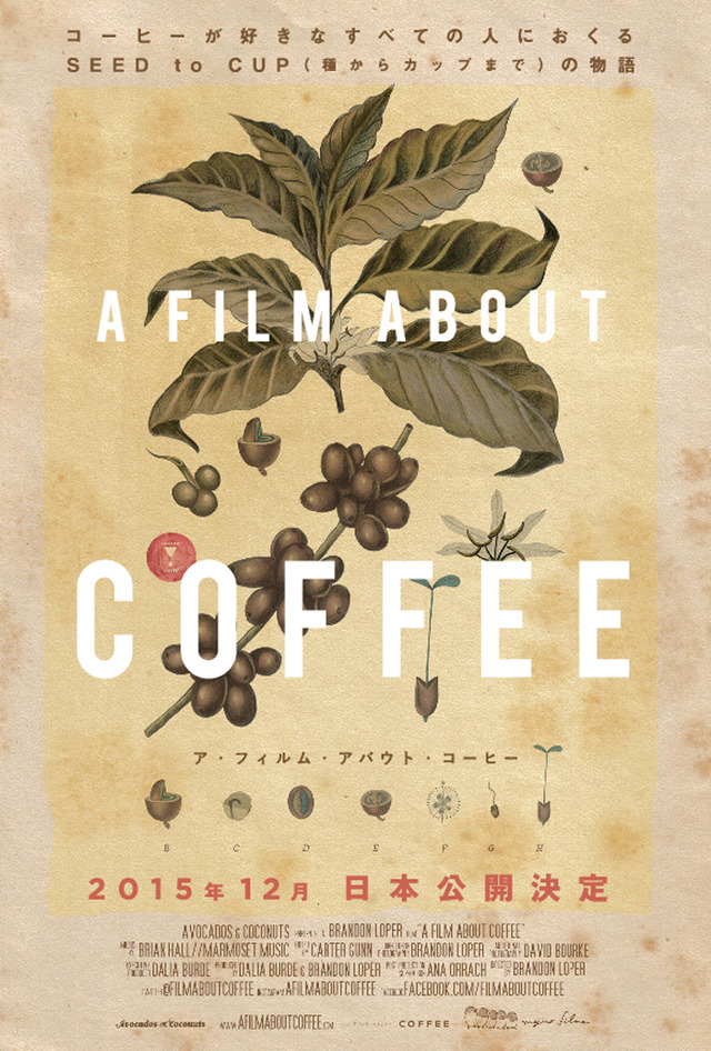 コーヒーカルチャーのニューウェーブを描いたドキュメンタリー映画『ア・フィルム・アバウト・コーヒー』が12月に公開
