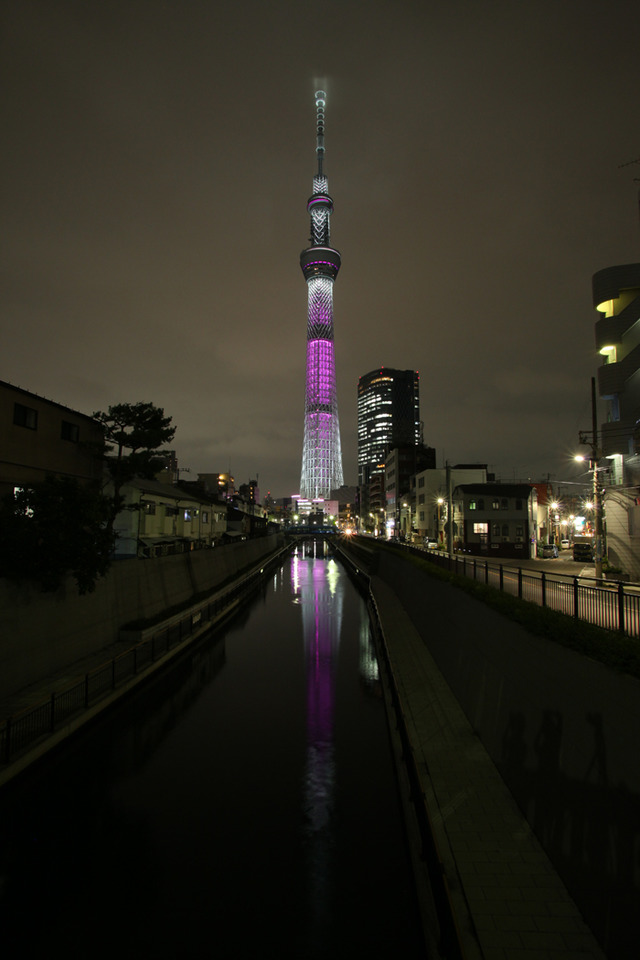 乳がん知識啓発キャンペーン「ピンクリボン」で、ライトアップされた東京スカイツリー