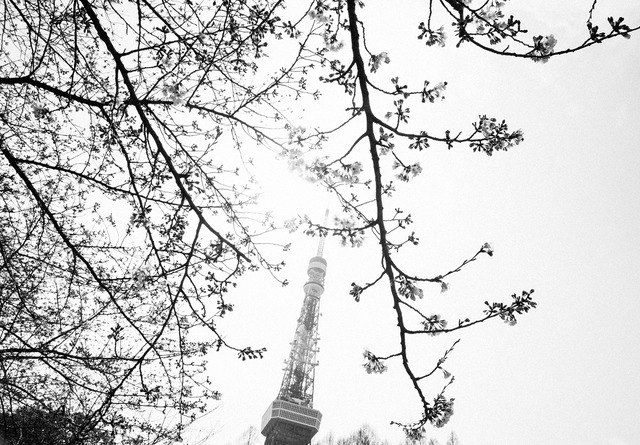 東京タワーをバックにレトロでモダンなスタイルを。リ・スタイルで見つけたリアルクローズ【±20 ReStyle Day:4】