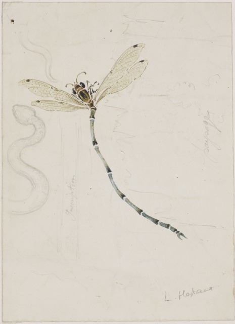 習作「蜻蛉」ルイ・エストー1903年以降オルセー美術館