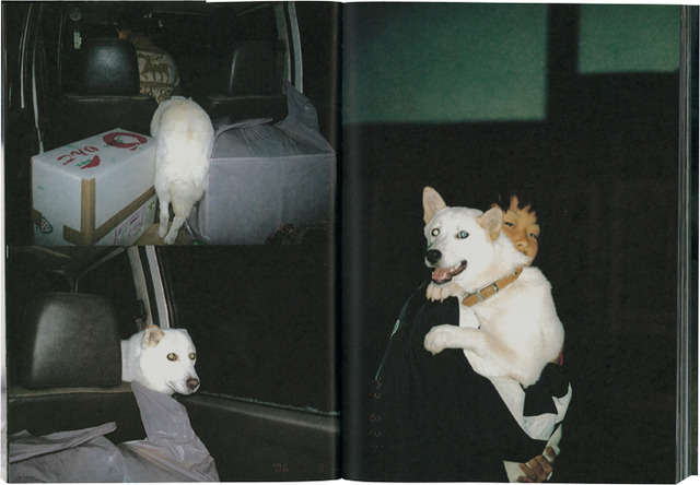 『白い犬』梅佳代