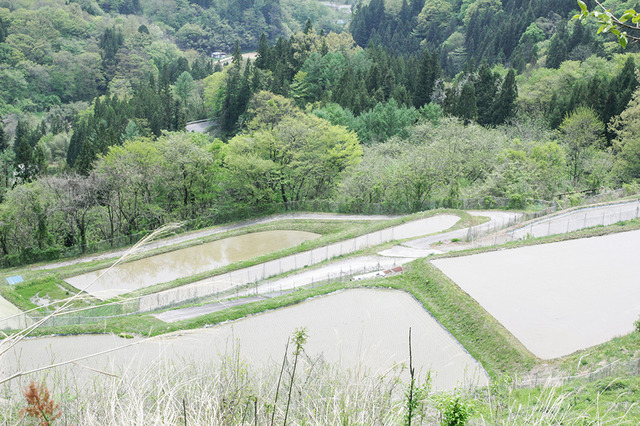 山と谷が複雑に入り組んだ八坂・美麻地区